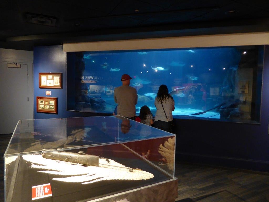 Collaboration of the aquarium's biological exhibits and the museum-like exhibit of the shipwreck