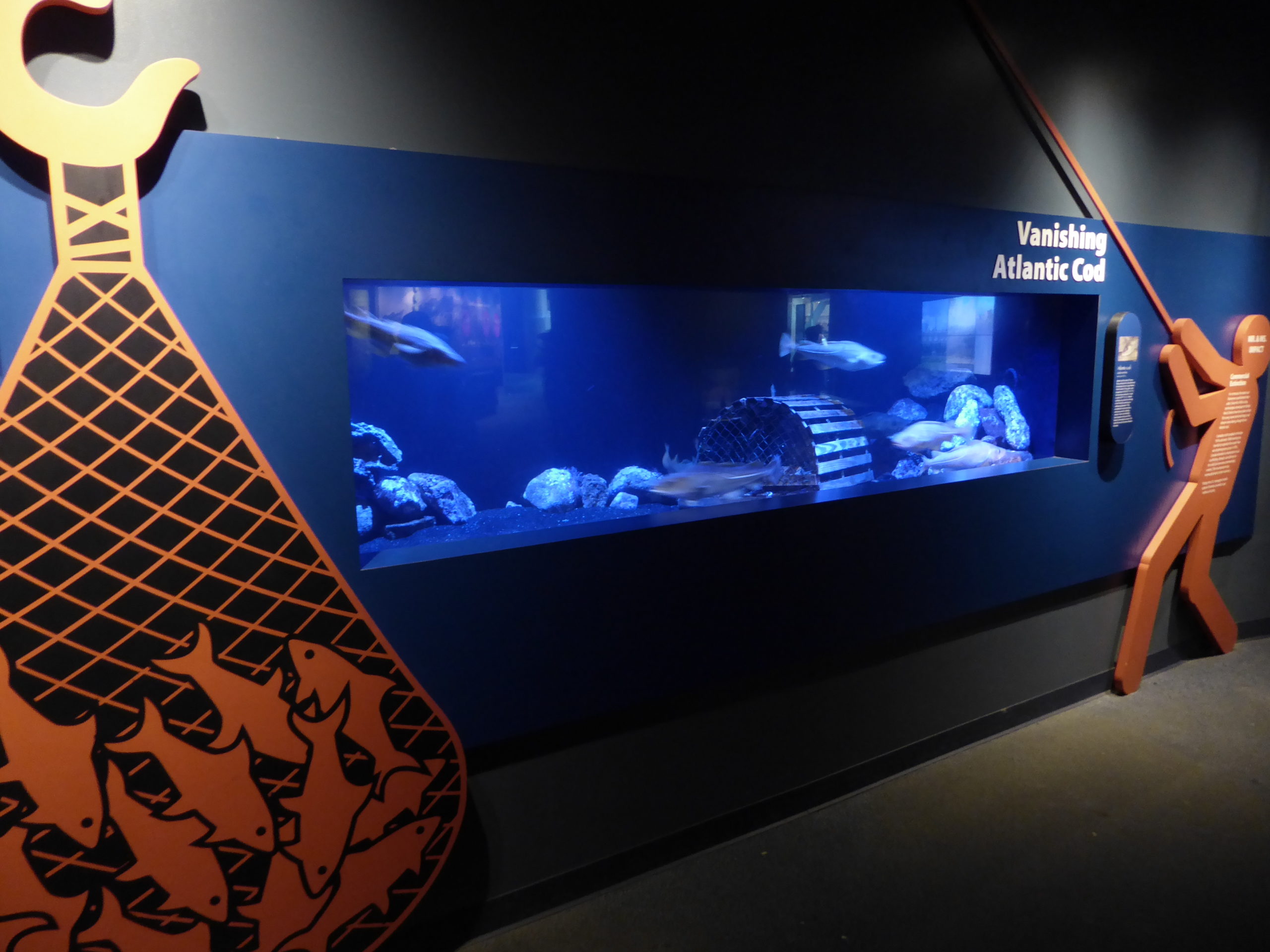 A combination of panels representing overfishing and endangered species tanks